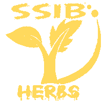 SSIB Logo