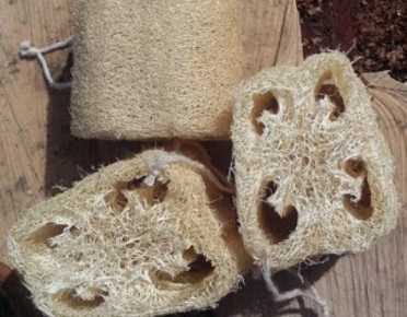 luffa Item